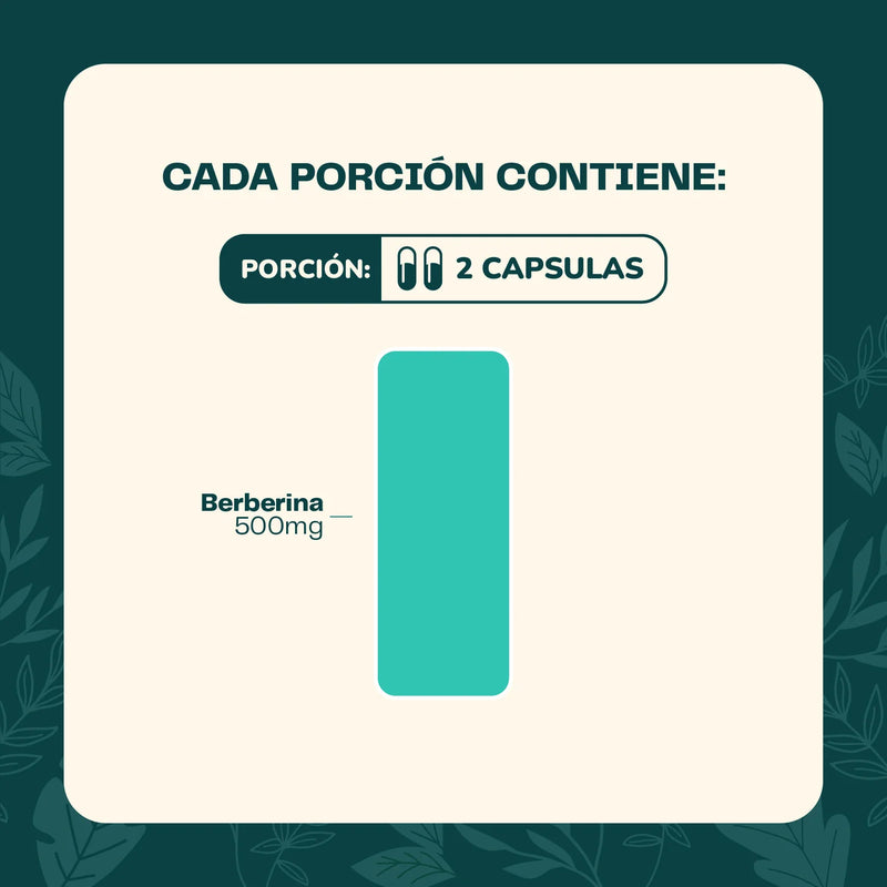 Berberina 500mg 60 Cápsulas - Karun Life