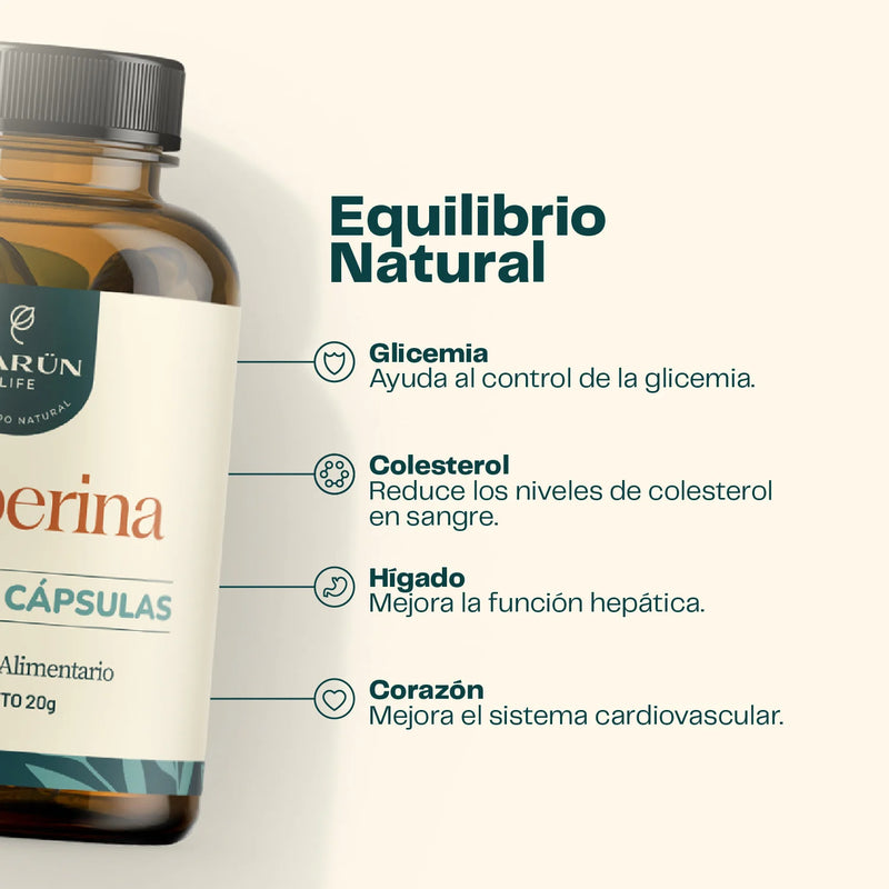 Berberina 500mg 60 Cápsulas - Karun Life