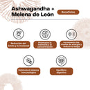 Extracto de Ashwagandha + Melena de León 30ml - Karun Life