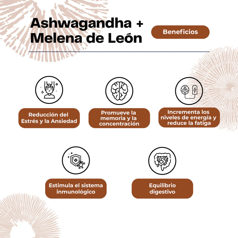 Extracto de Ashwagandha + Melena de León 30ml - Karun Life