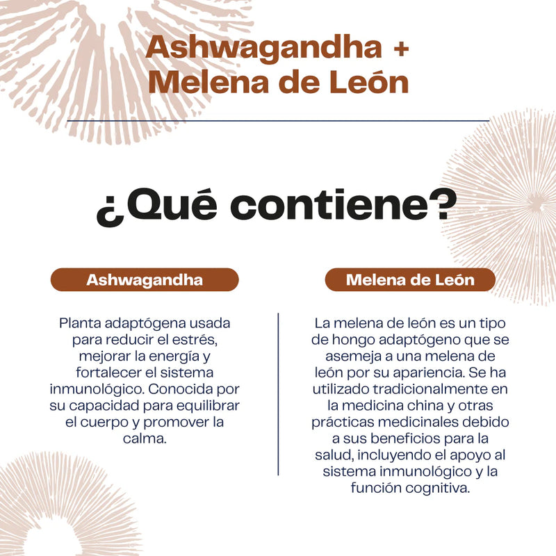 Extracto de Ashwagandha + Melena de León 30ml - Karun Life