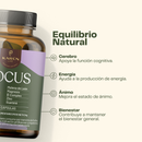 Infografía del Focus con sus cuatro áreas declaradas por el fabricante