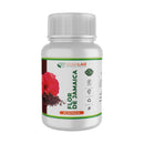ficha_flor-jamaica-VIBRALAB