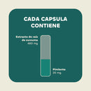 Cúrcuma + Pimienta Negra 500mg 90 Caps - Karun Life