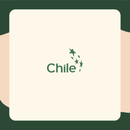 Sellos del Aceite de Orégano Gold: producto chileno, el único que trae el envase