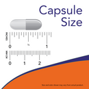 Probiotic-10 50 Billones 50 Veg Caps - Now
