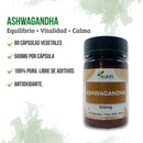 Infografía de la Ashwagandha 500 mg: 60 cápsulas vegetales y 500 mg por cápsula