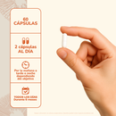 Modo de uso del Cordyceps: 2 cápsulas al día durante 6 meses