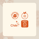 Sellos del Cordyceps: sin azúcar añadida, GMO free, producto chileno y apoyo al reciclaje